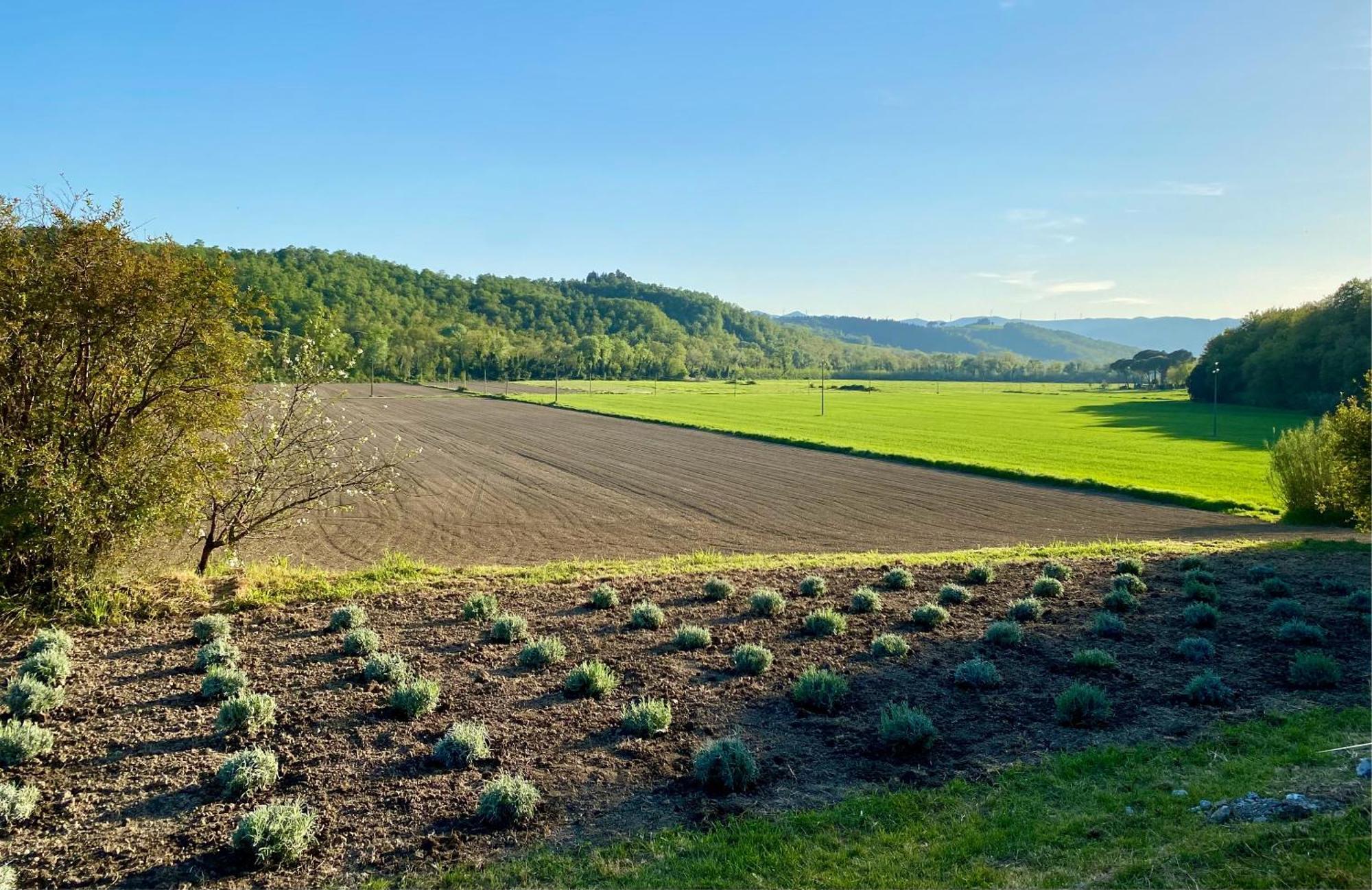Casa Vacanze Podere San Giusto Volterra Exterior foto